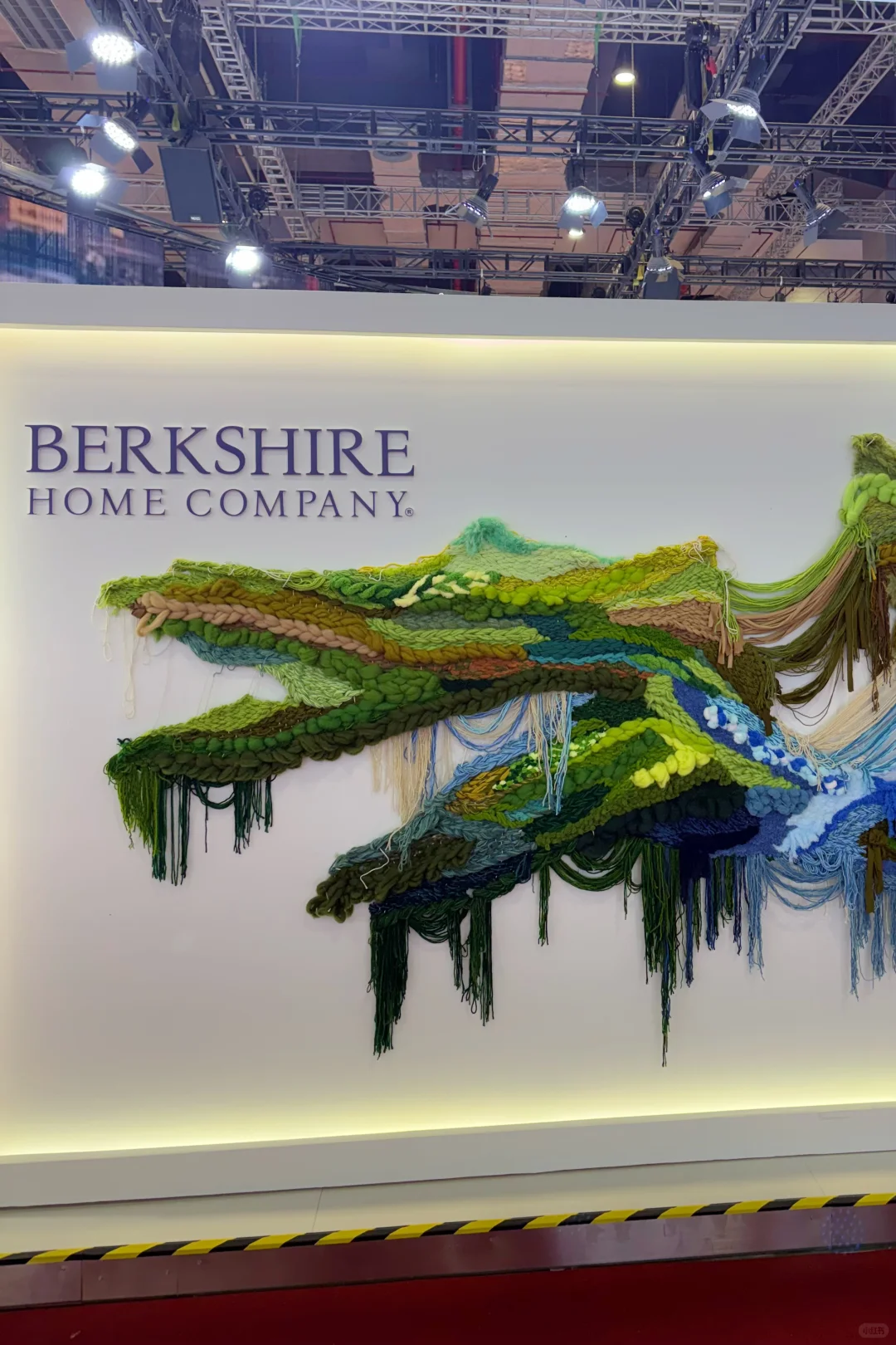 第八届中国国际进口博览会?