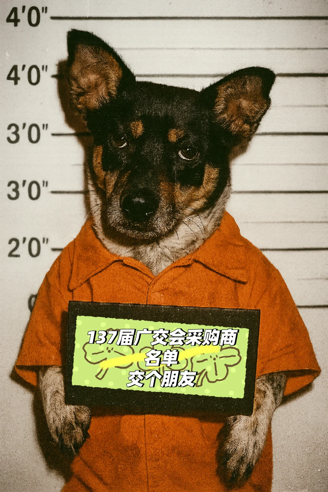 137届采购商名单免费送，交个朋友?