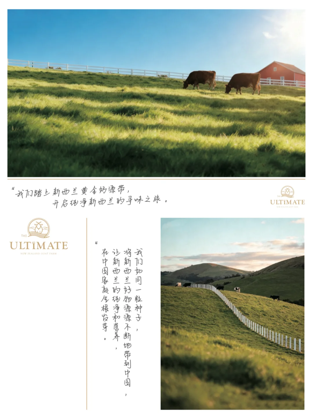 ✉️叮！邀您参加典极乳业x中喆北控新品发布会