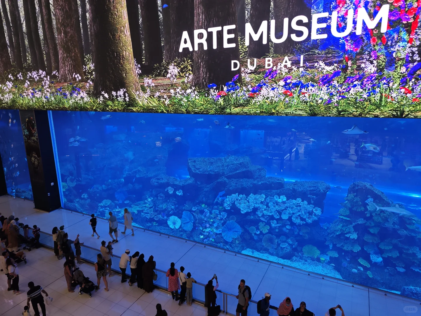 为你介绍阿联酋基本情况（四）