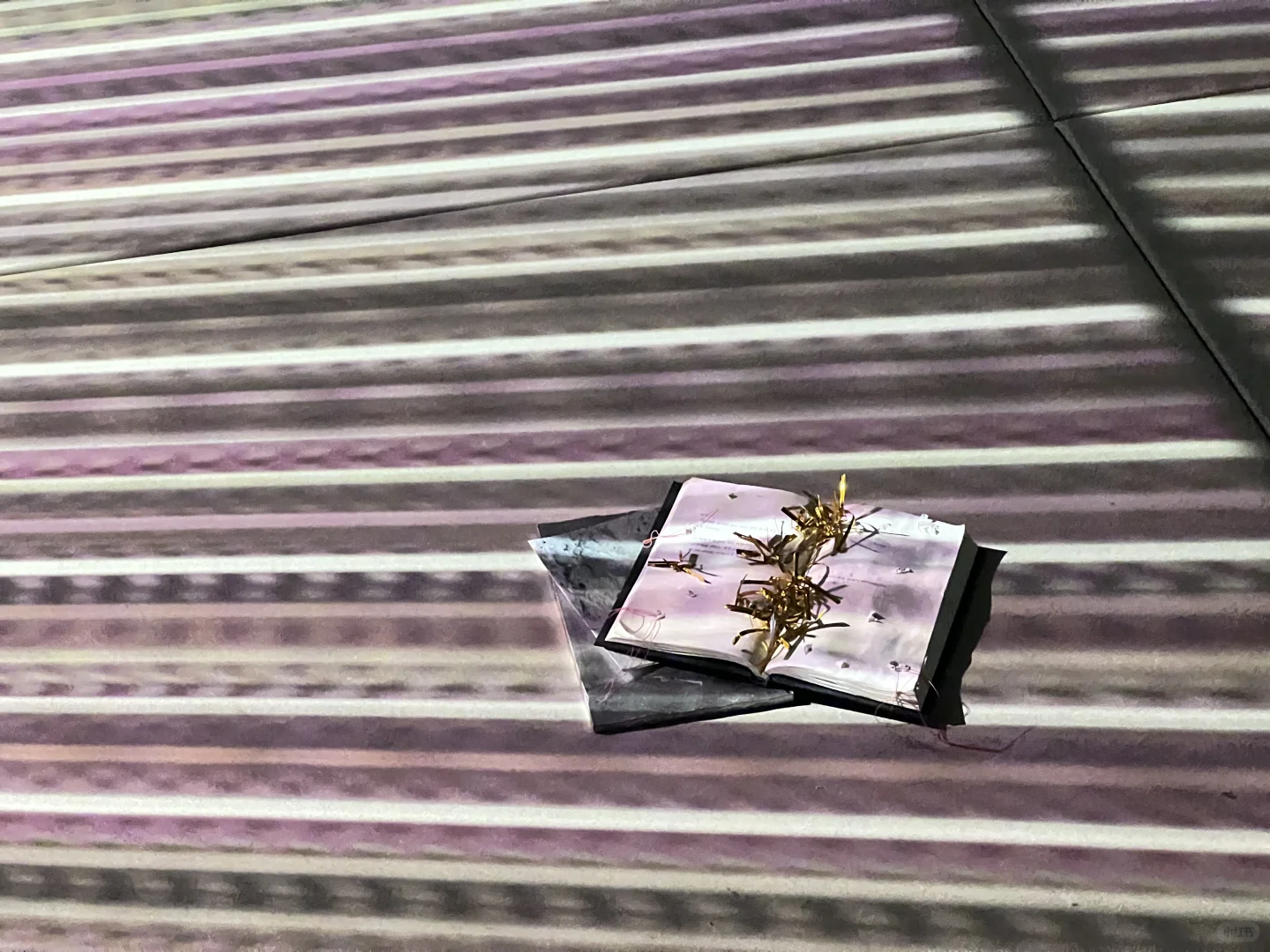 逛完这个展像给大脑做了场排毒?‍♀️