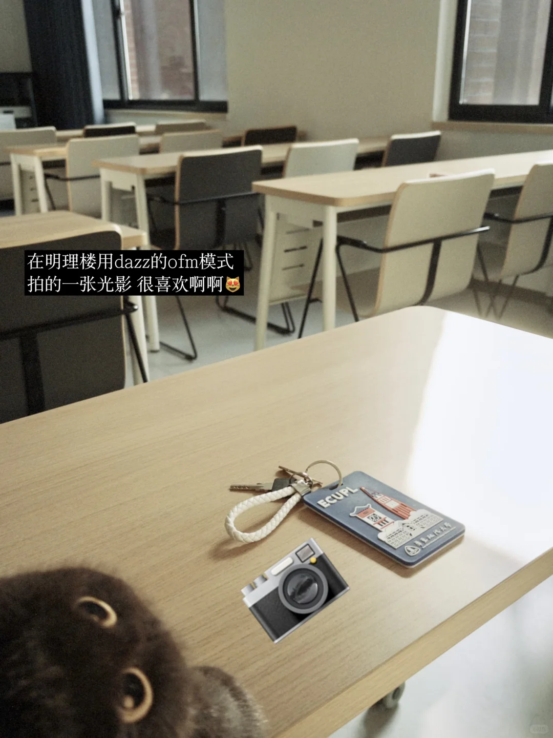 华政大一｜我们去新的秋天里再见???