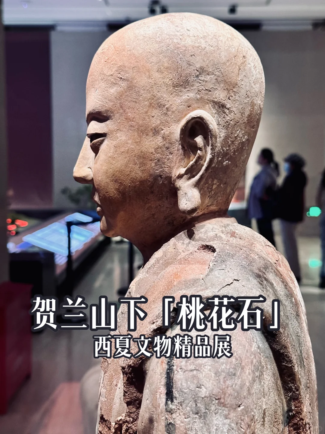 贺兰山下「桃花石」｜西夏文物精品展