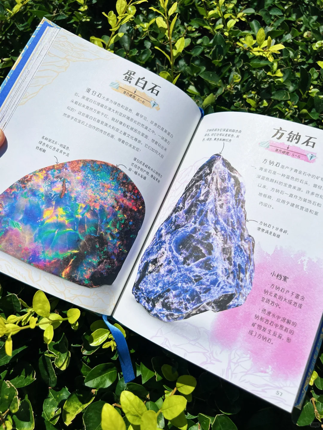 ?送30颗真矿石！实物超惊艳（收到被美晕