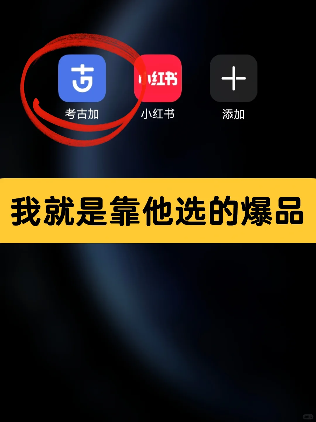 冷门品复活战：数据筛出的“宠物烘干箱”