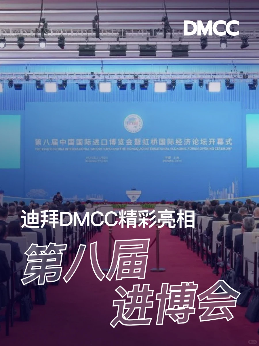迪拜DMCC精彩亮相第八届进博会