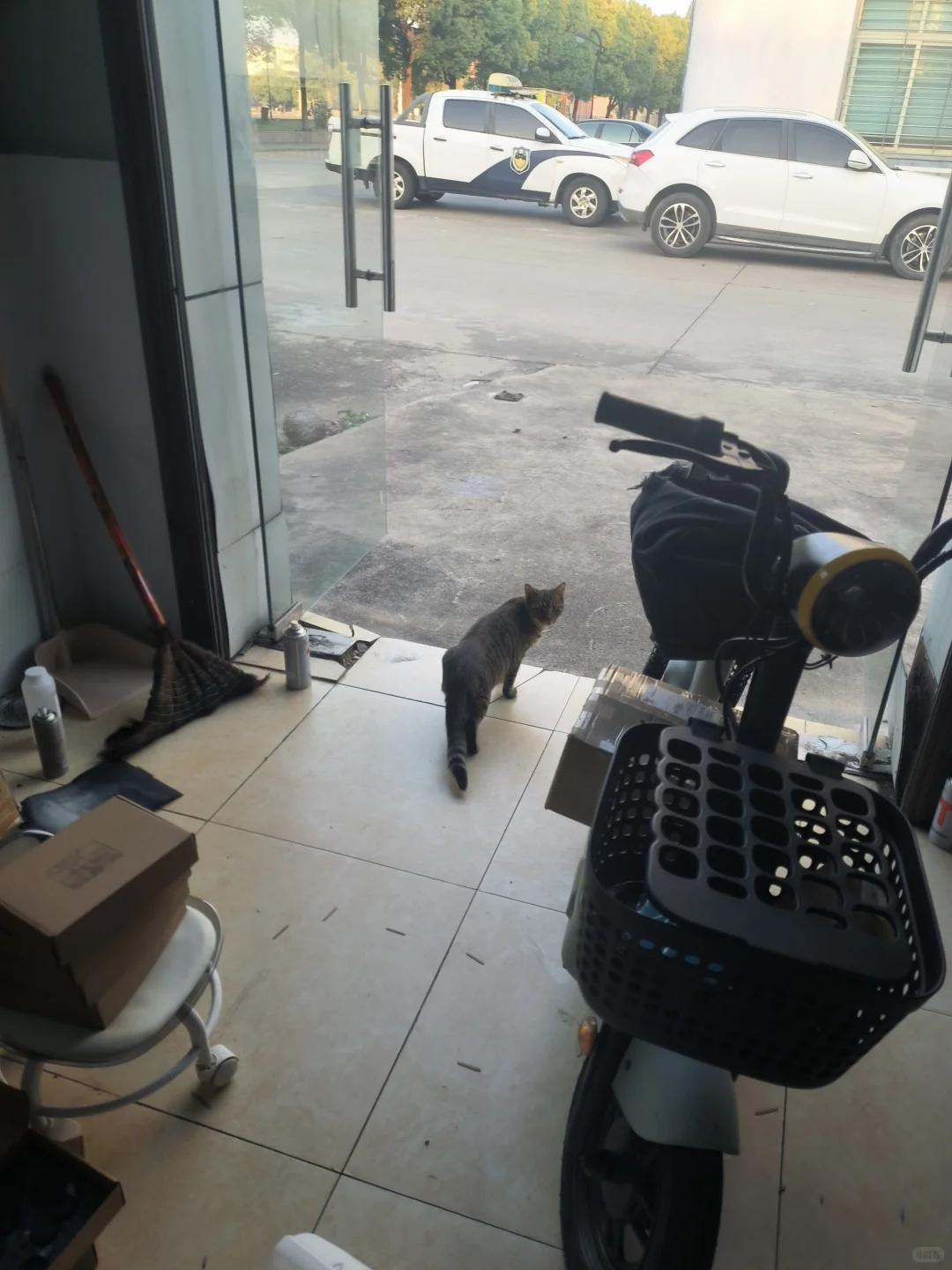 00后靠模型工作室攒了百万（工作室QA）