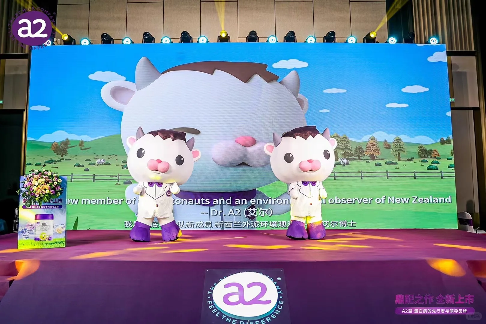 高端奶粉品牌上市发布会