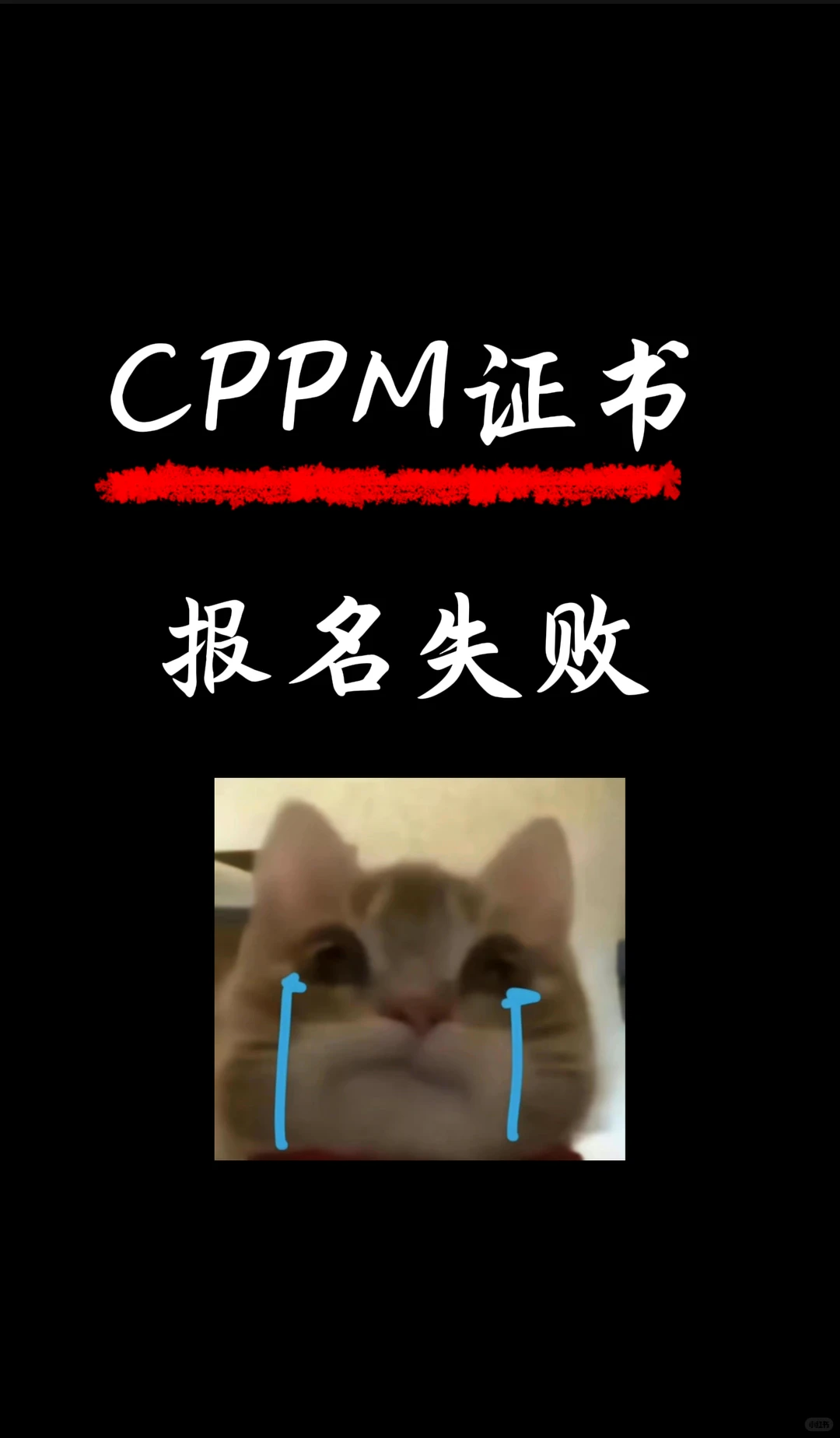 CPPM证书报名失败