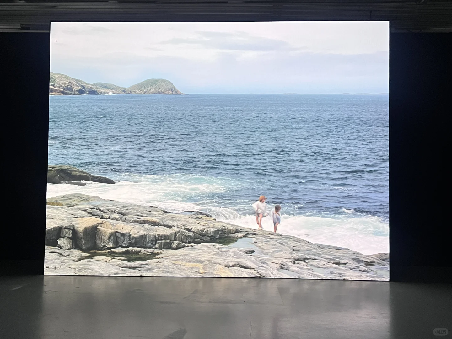 逛完这个展像给大脑做了场排毒?‍♀️