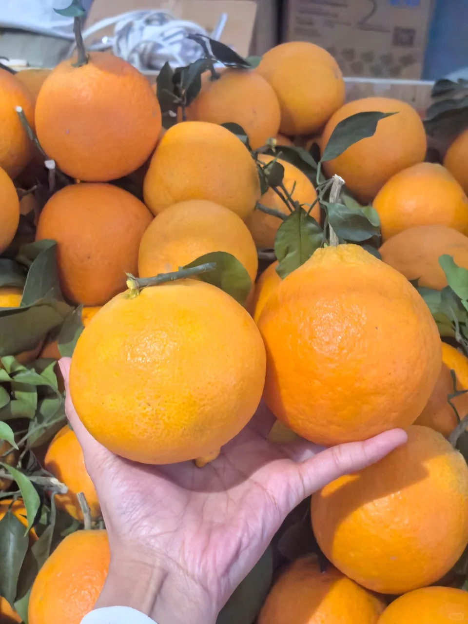 泉城首场环球好物盛宴要来啦！✨