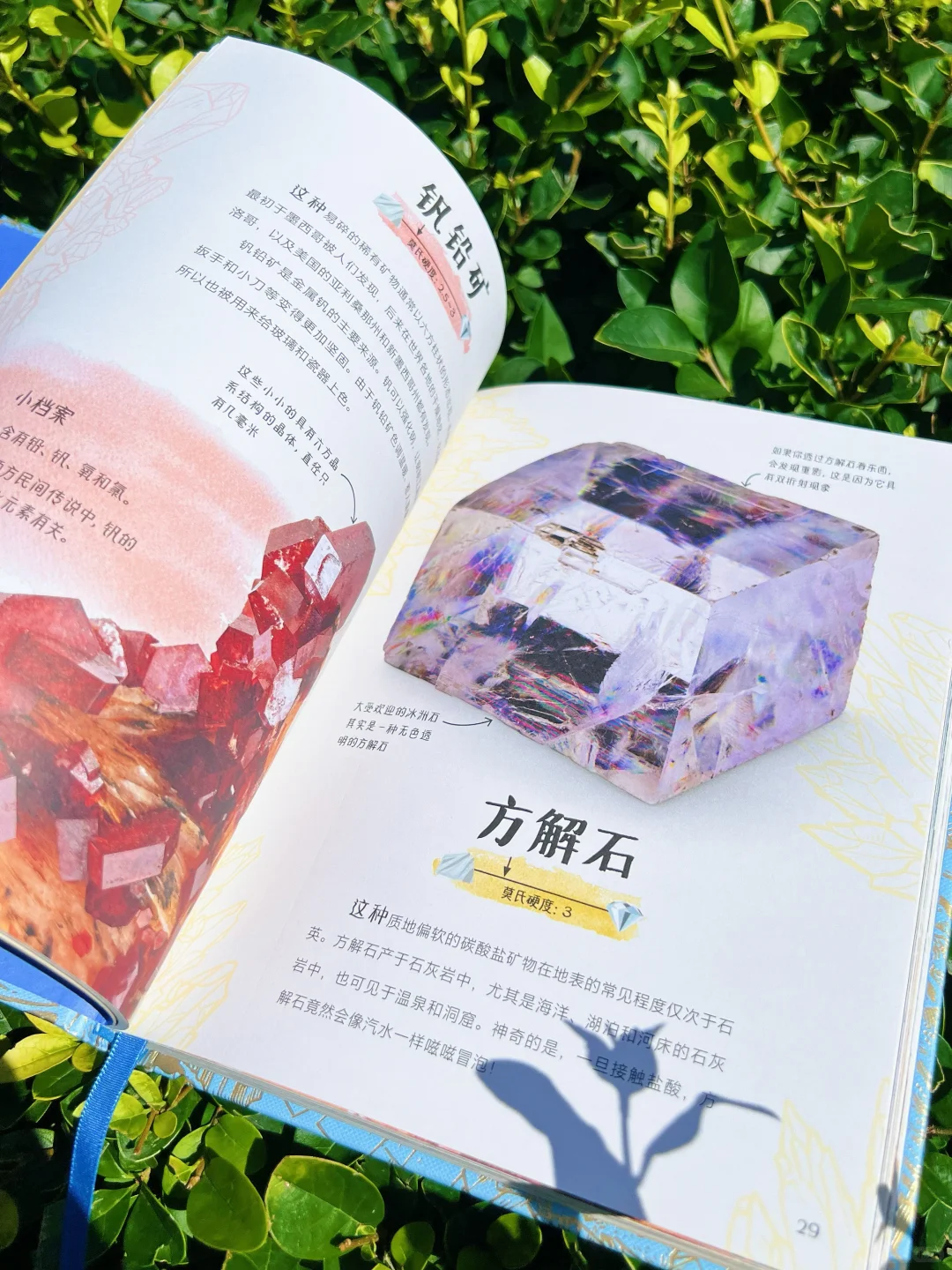 ?送30颗真矿石！实物超惊艳（收到被美晕