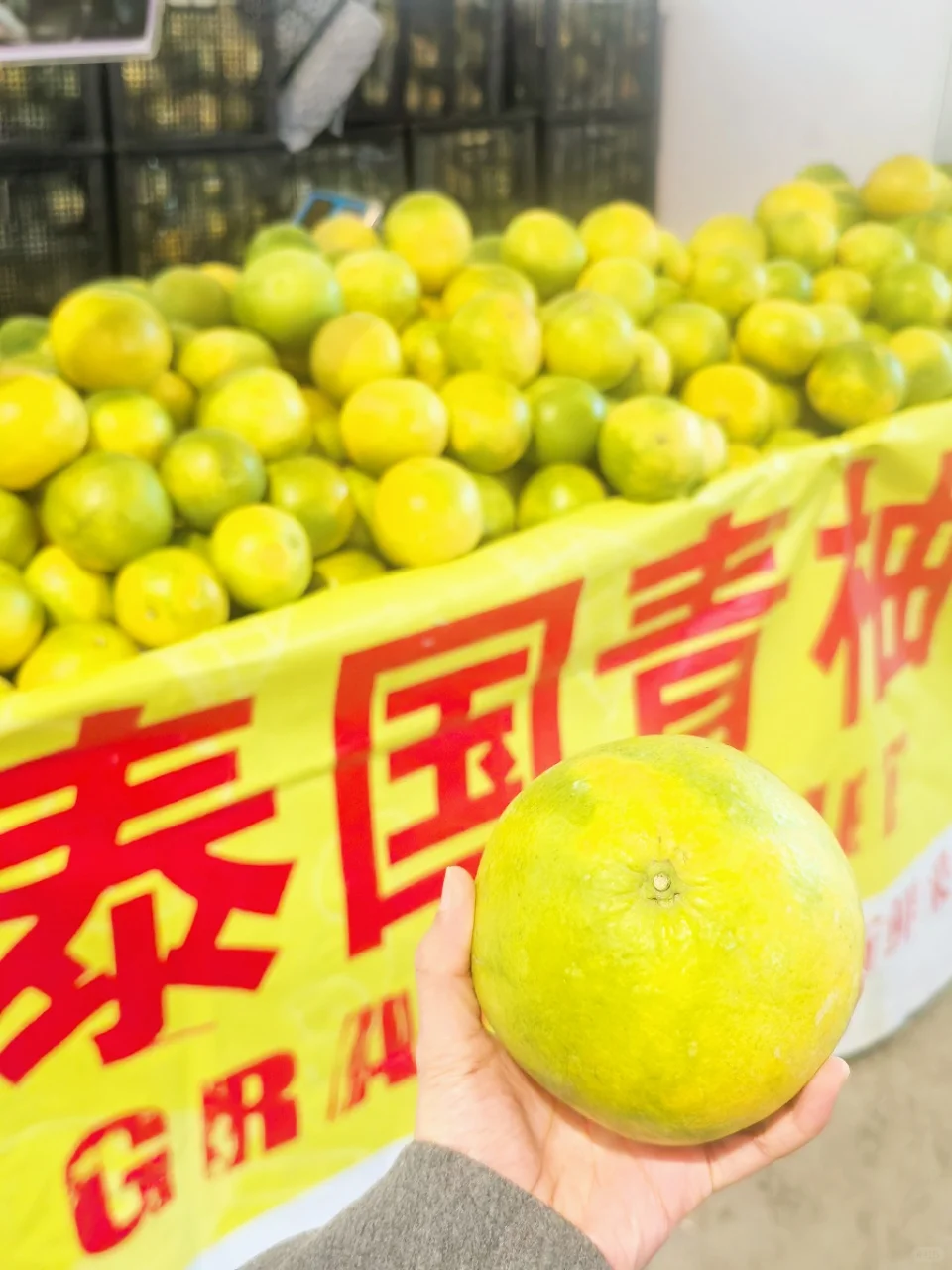 泉城首场环球好物盛宴要来啦！✨