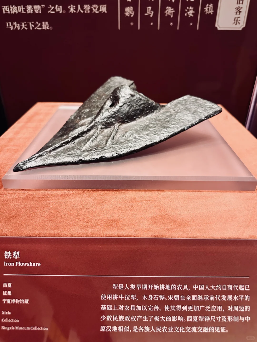 贺兰山下「桃花石」｜西夏文物精品展