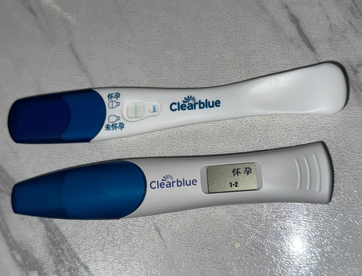 4w➕4怀孕日记（上）