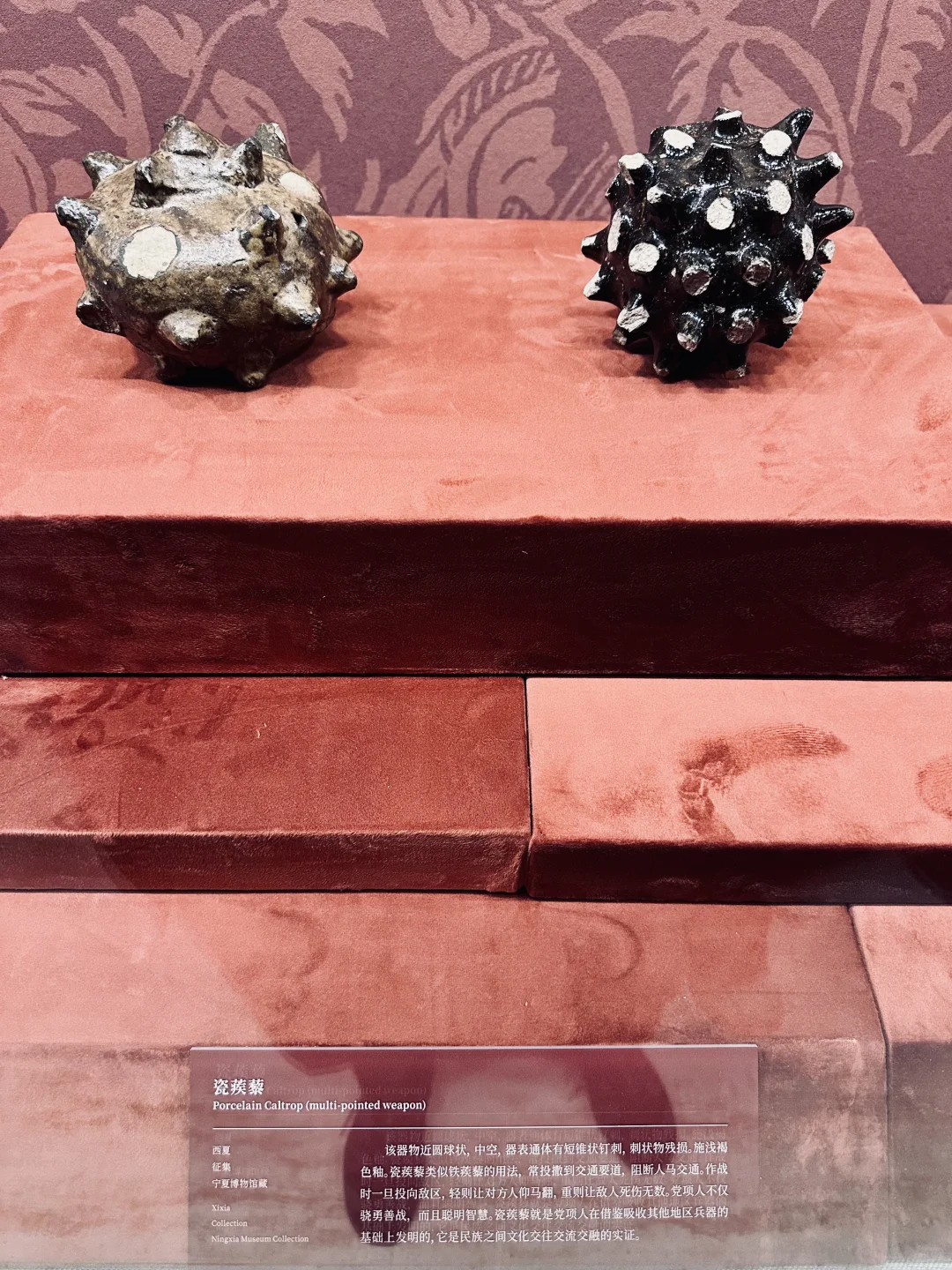 贺兰山下「桃花石」｜西夏文物精品展