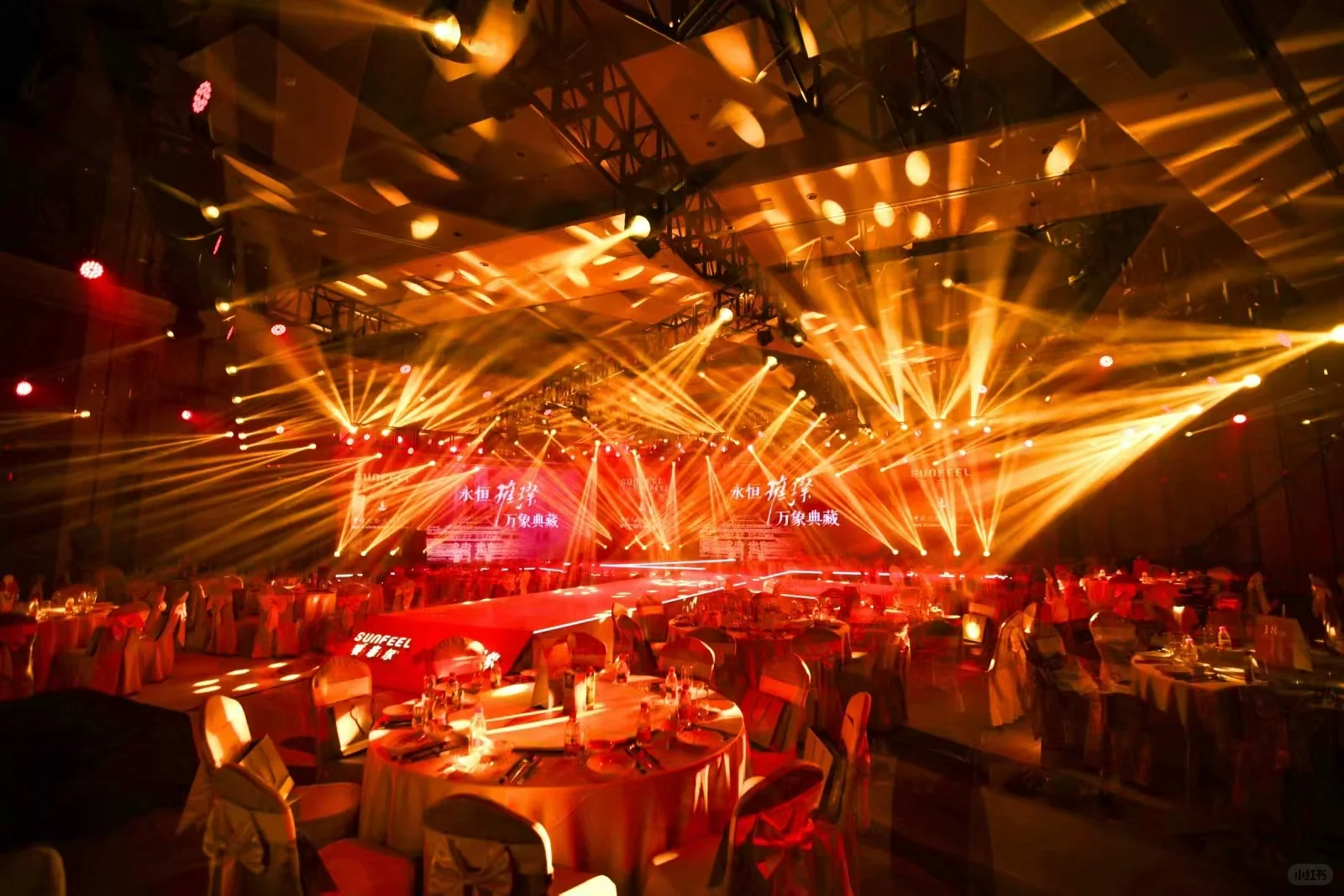 ?璀璨开启，万象藏珍！