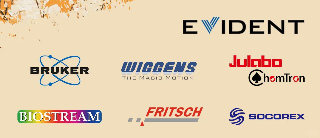 要过上好日子了