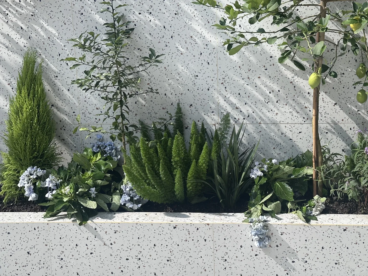 140平的花园，7000元的苗木明细来啦