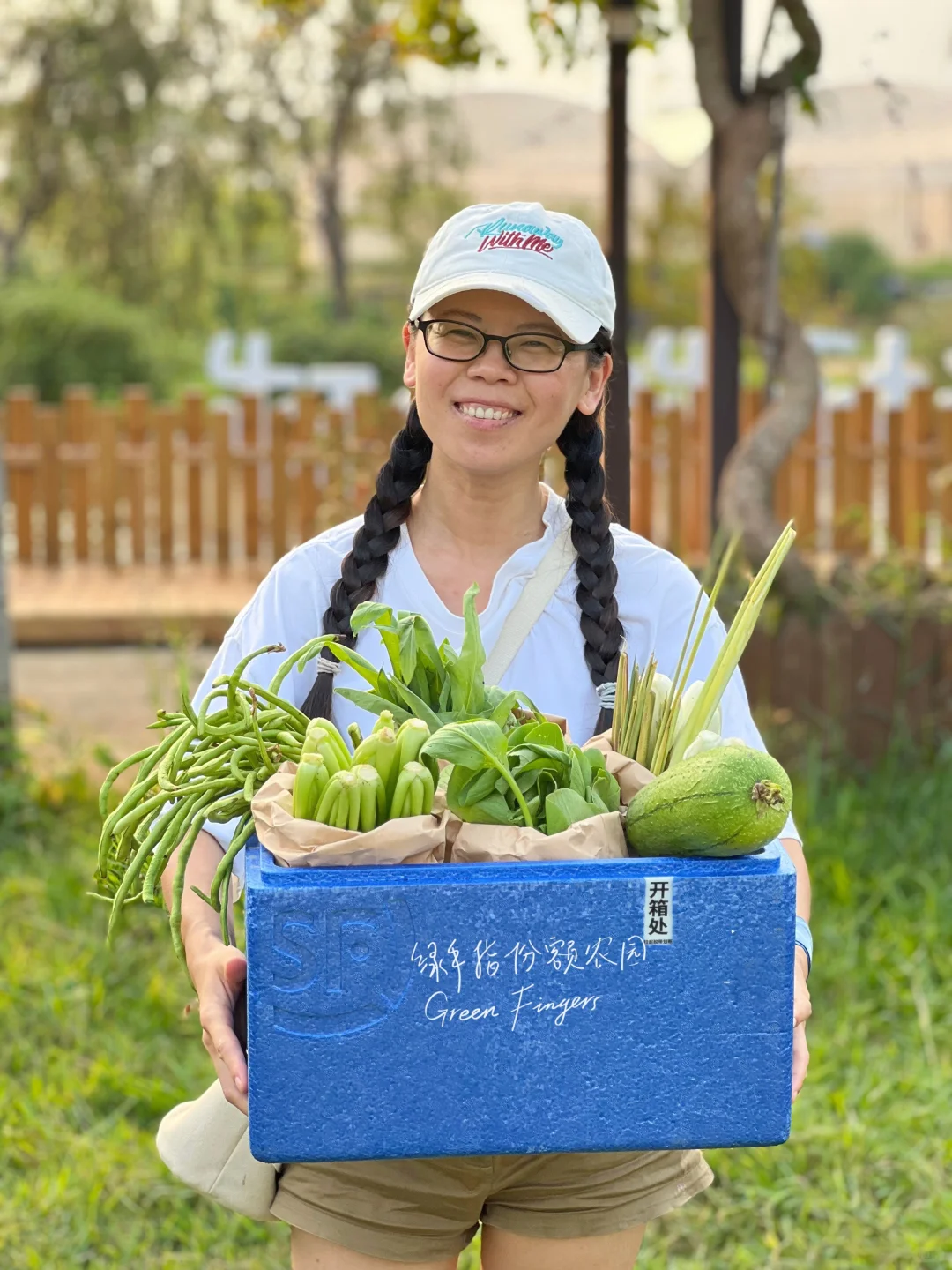 农场菜菜丰产预报