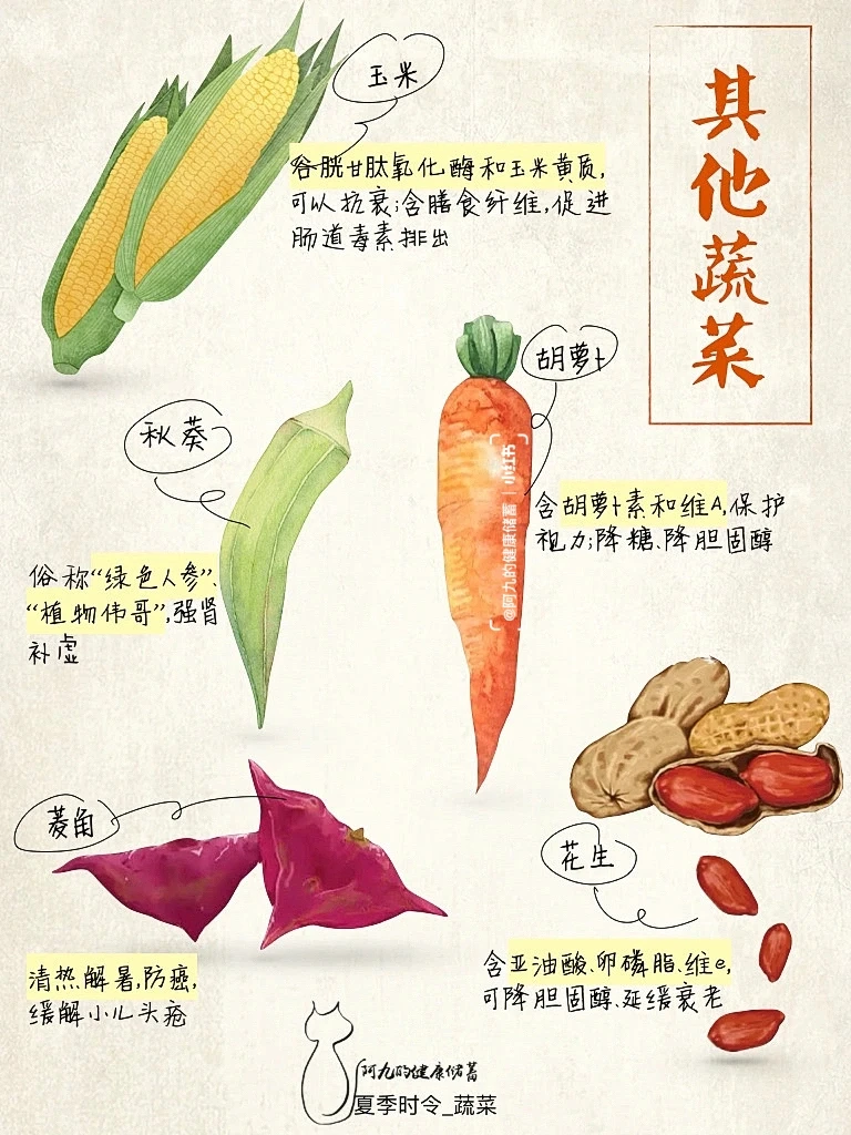 当季蔬菜大全-夏天篇（尾页有彩蛋?）