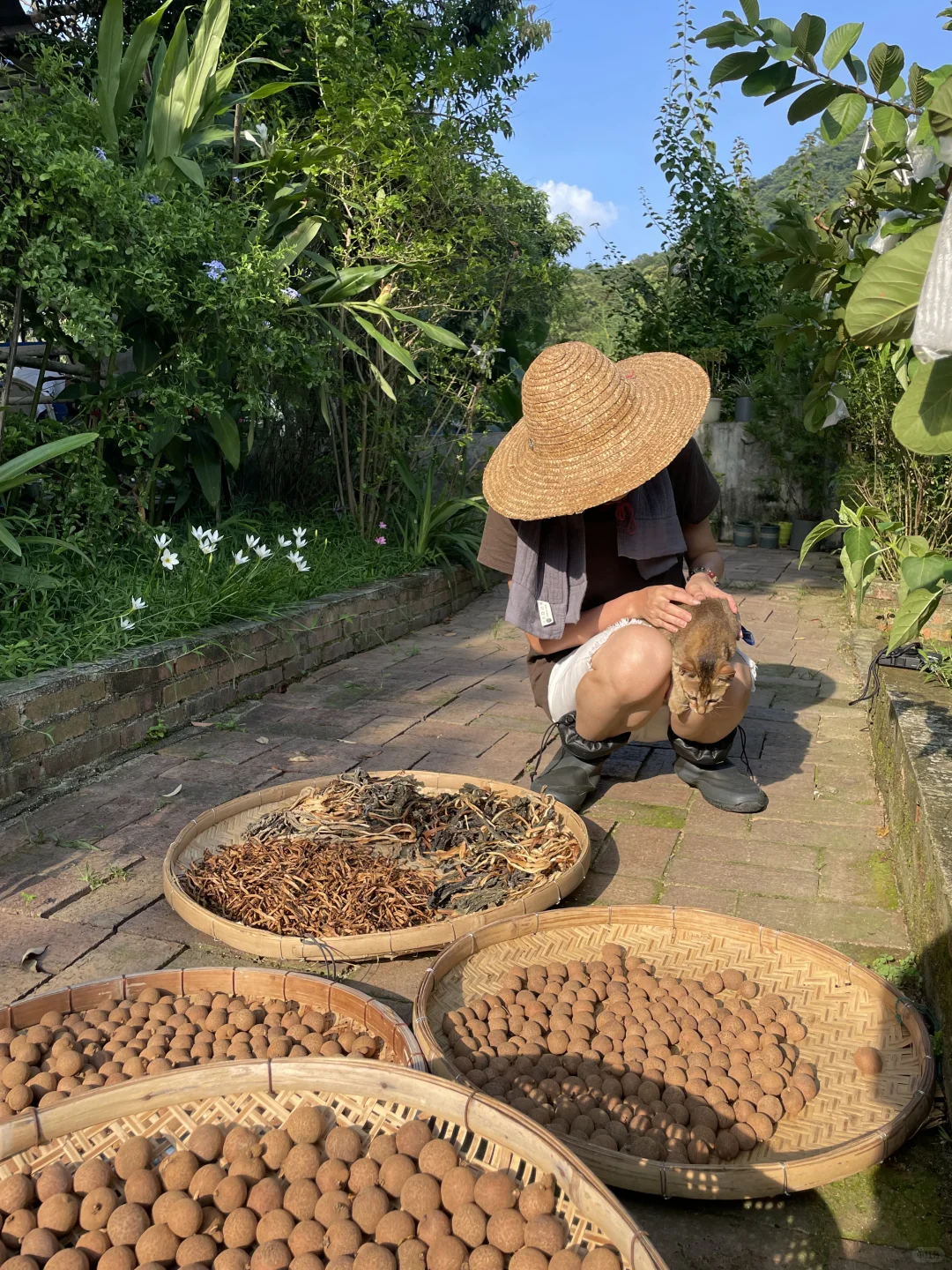 女人真的不能搞农场！