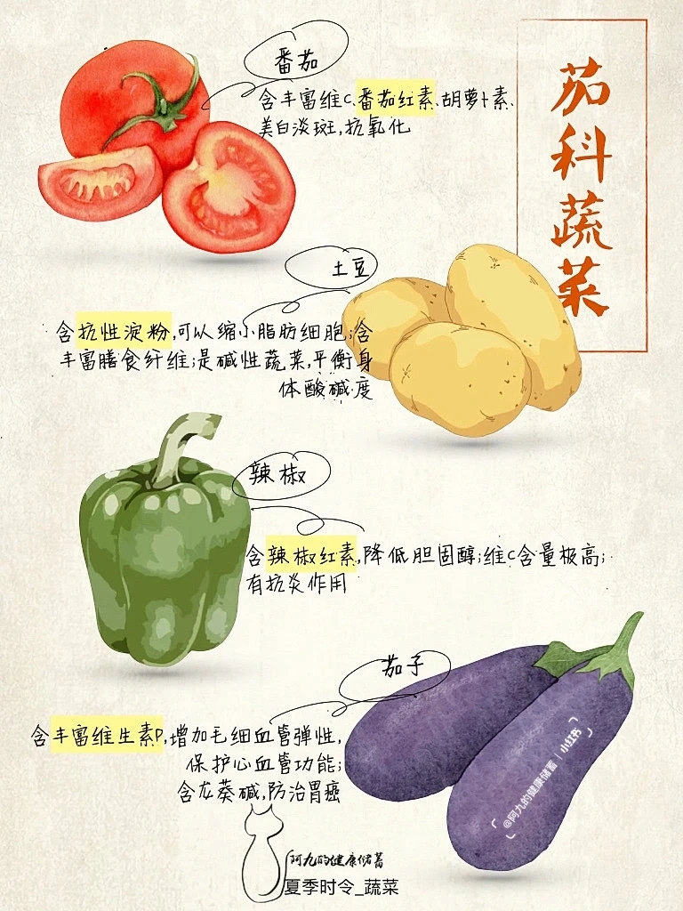 当季蔬菜大全-夏天篇（尾页有彩蛋?）