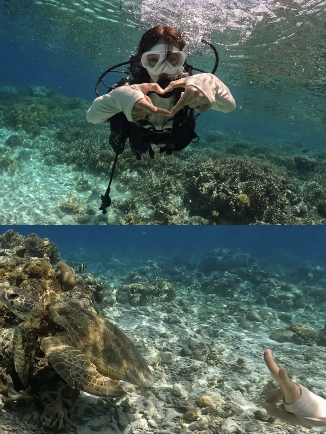 西岛潜水找我，还有机会玩桨板哦