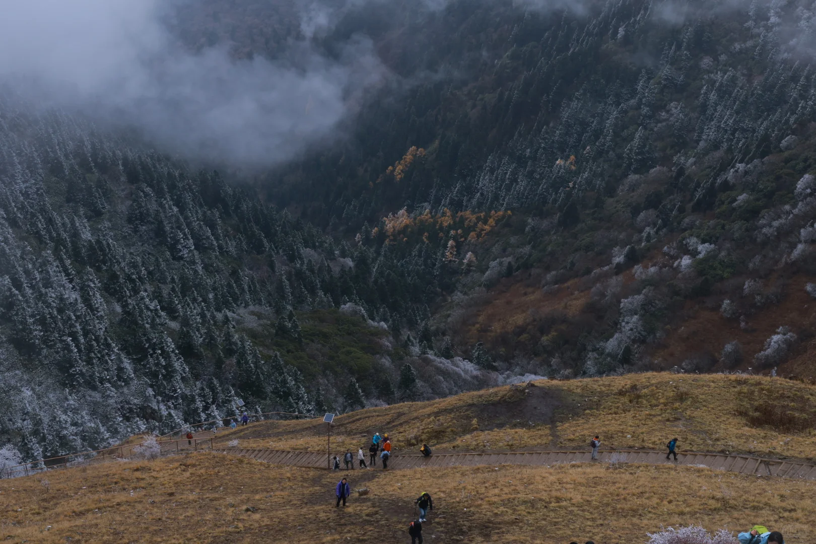 “山不向我走来，我便向山走去”