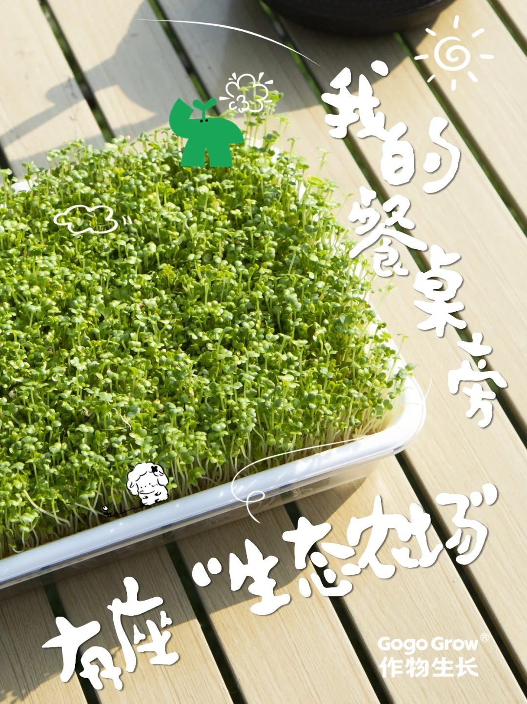 今天起，我家实现「有机蔬菜自由」