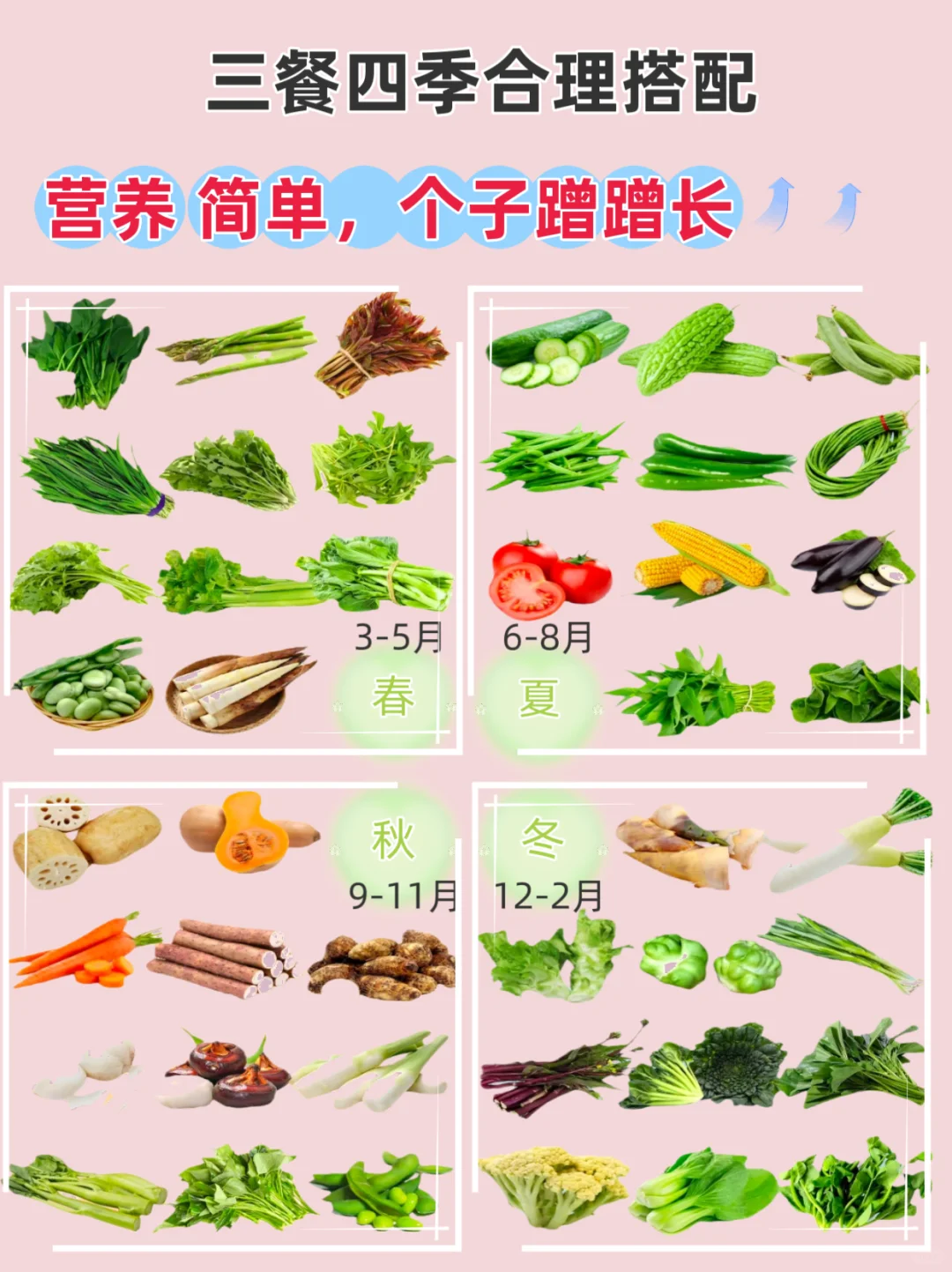 【四季时令蔬菜表】吃对＝长肉肉+长高高