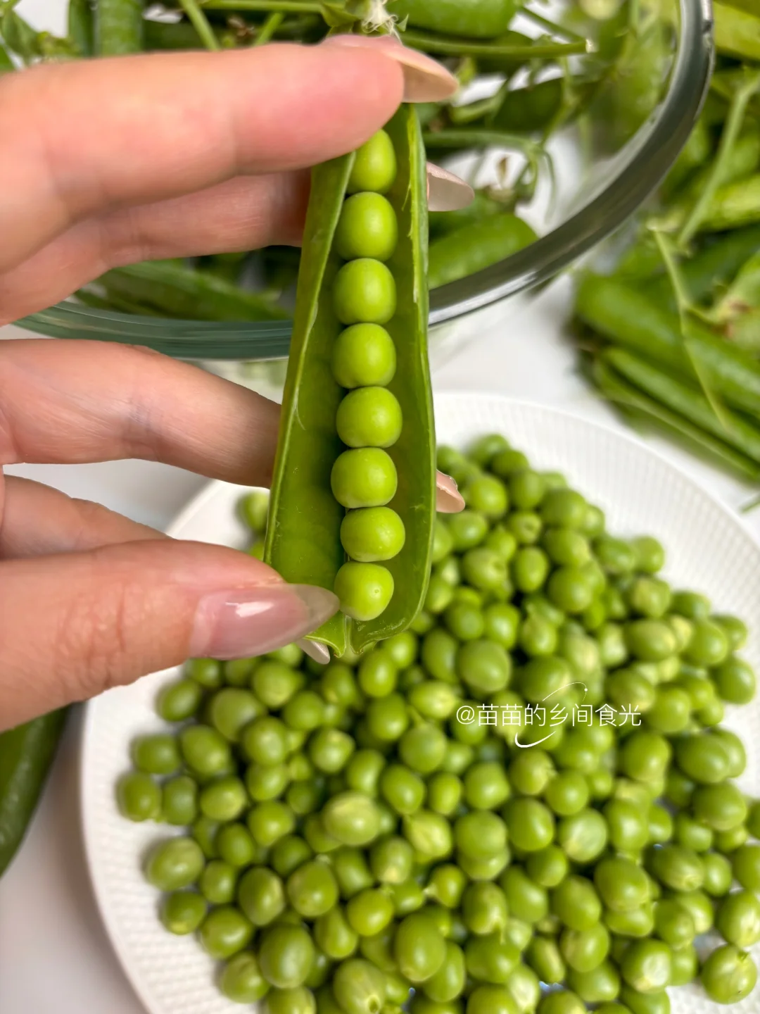 甜豌豆的季节到了，下饭菜第一名还是交给它！