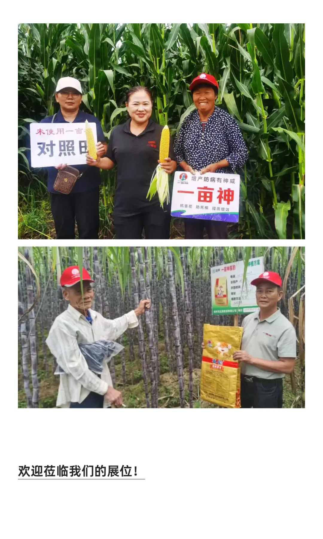 一亩神越南展会即将启程！破局东南亚种植难