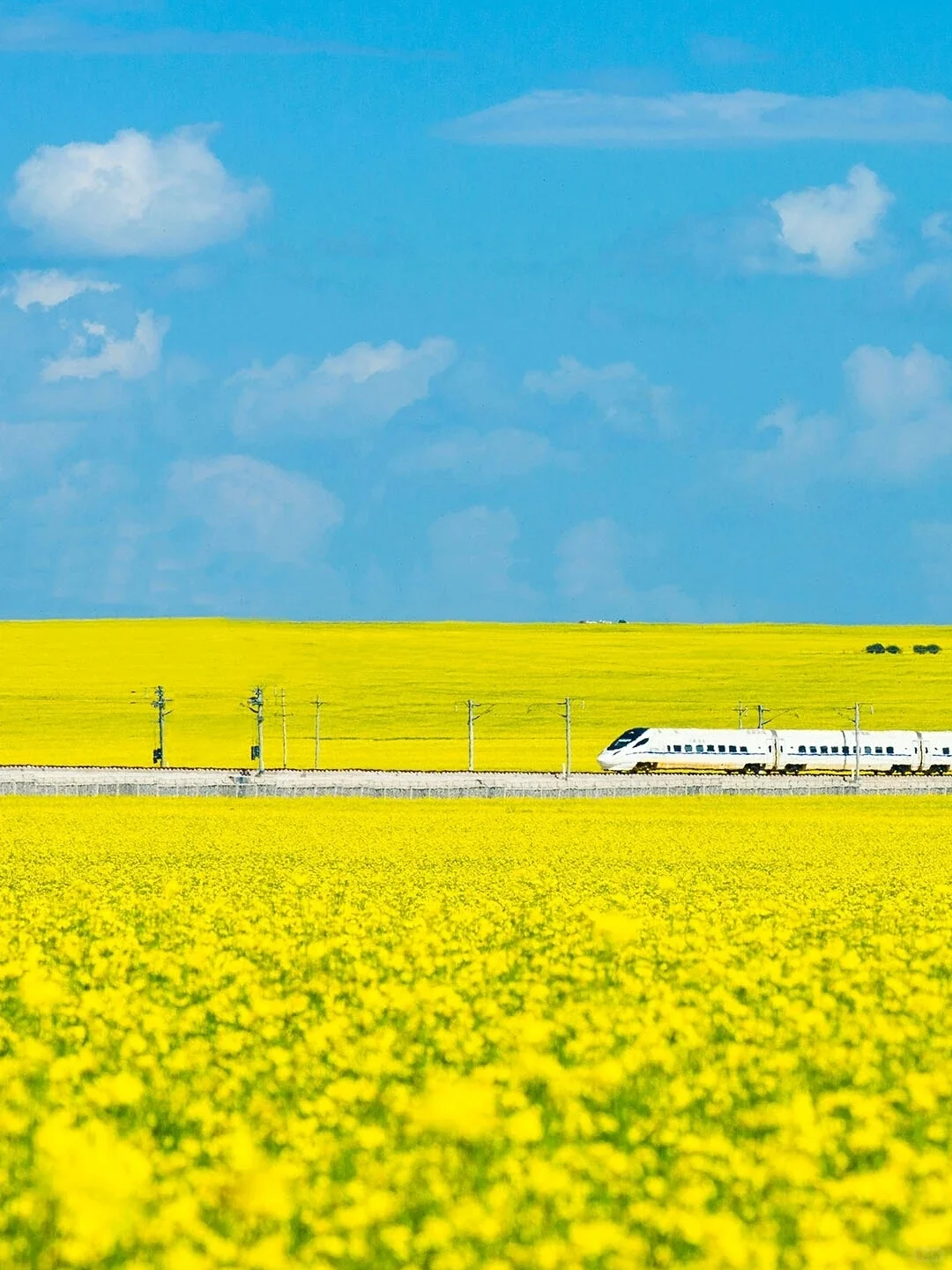 火车|列车|绘画素材分享|审美提升