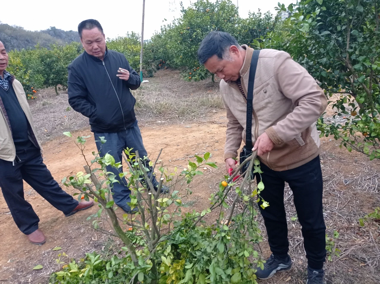 田间课堂-交流经验，精进技术