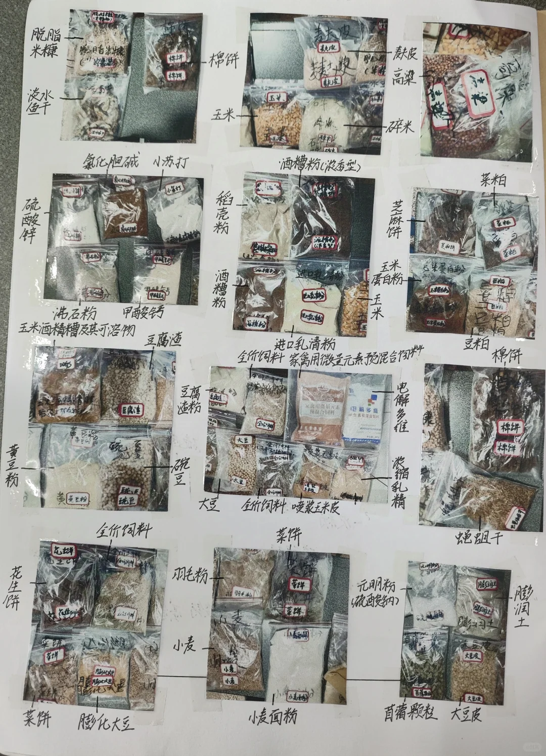 饲料原料的识别与品质鉴定