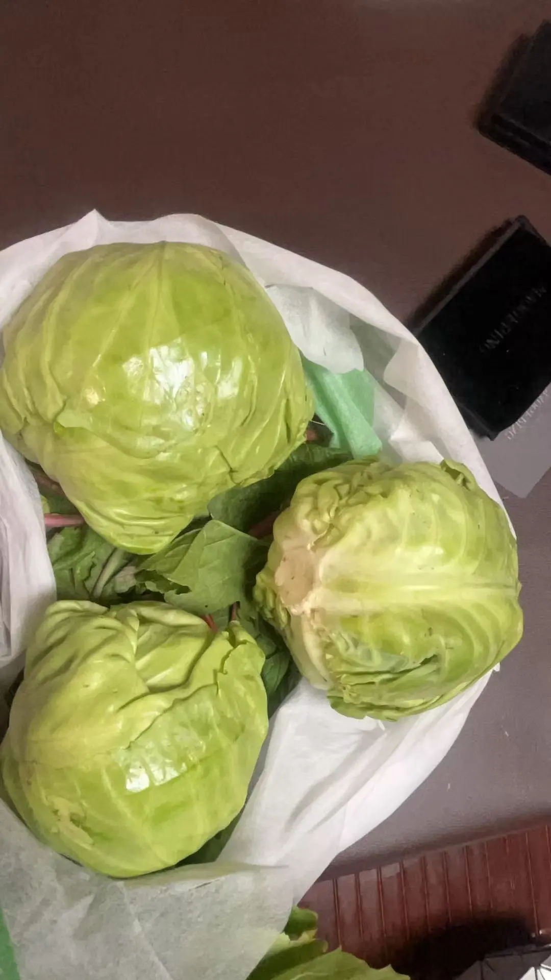 在小小的菜园里库库一顿挖