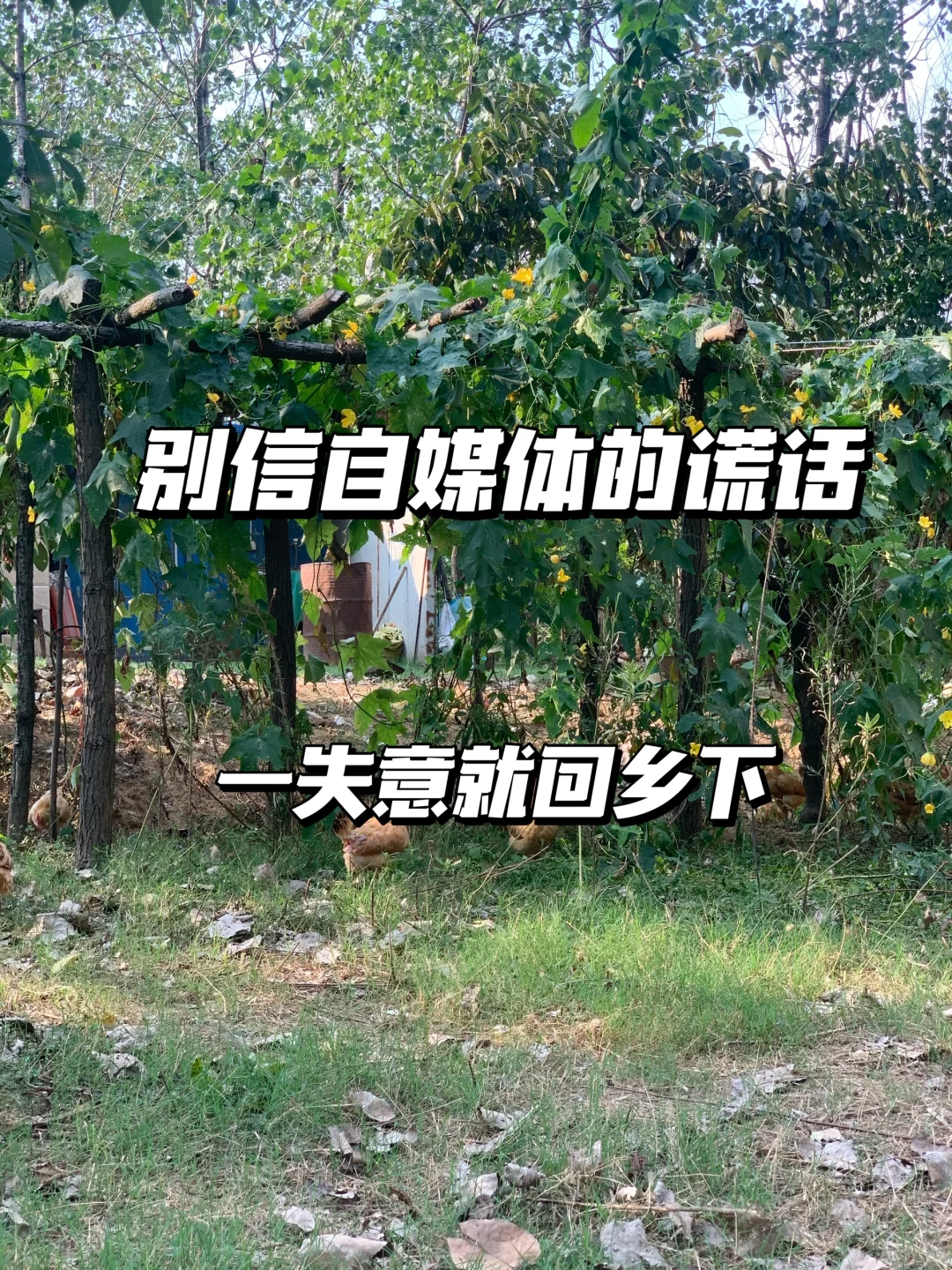 千万别信,卷不动就去乡下做农场