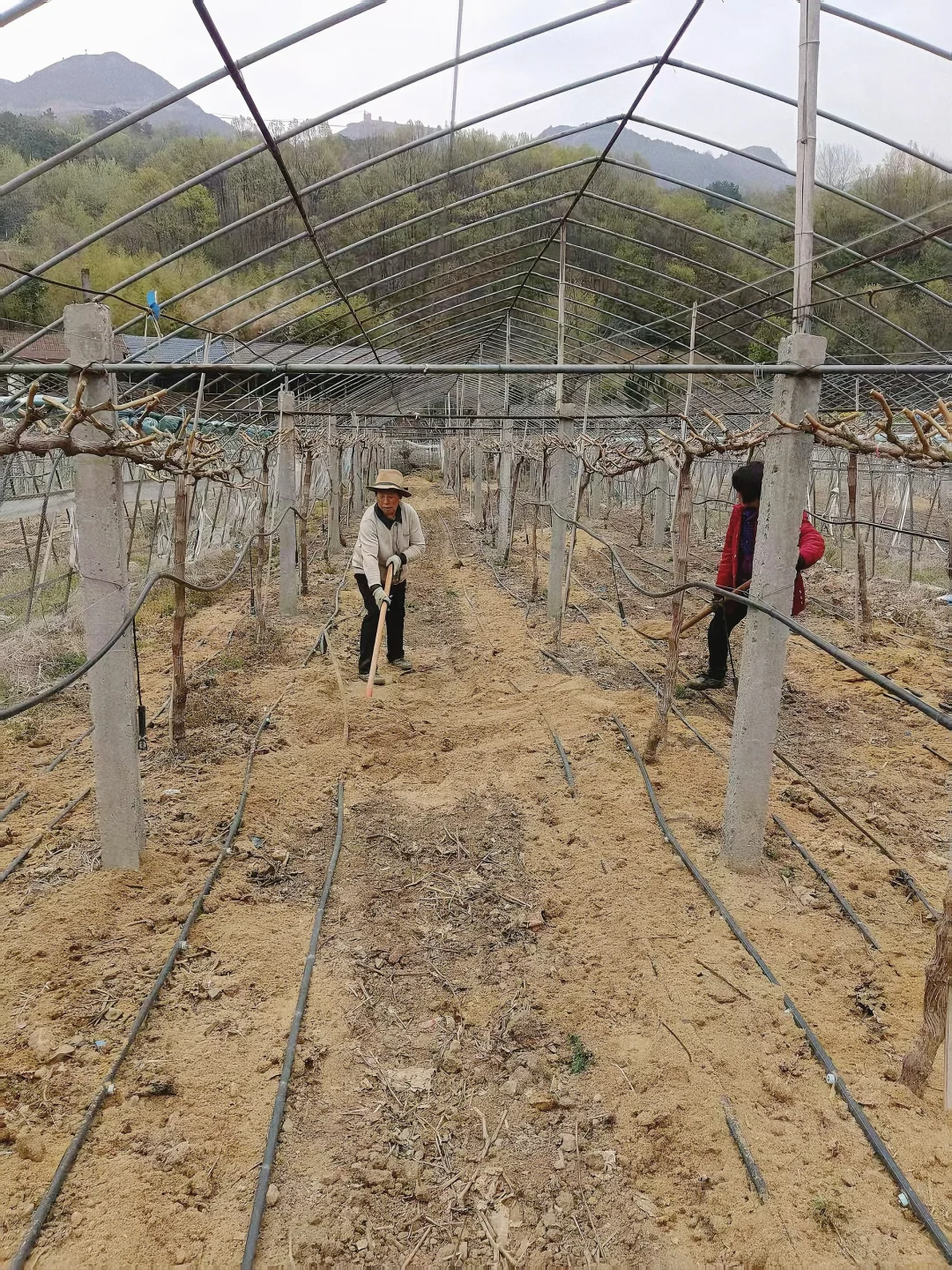 别被网红农场骗了真实的农场创业是这样的