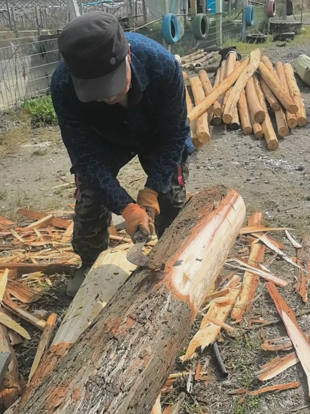 别被网红农场骗了真实的农场创业是这样的