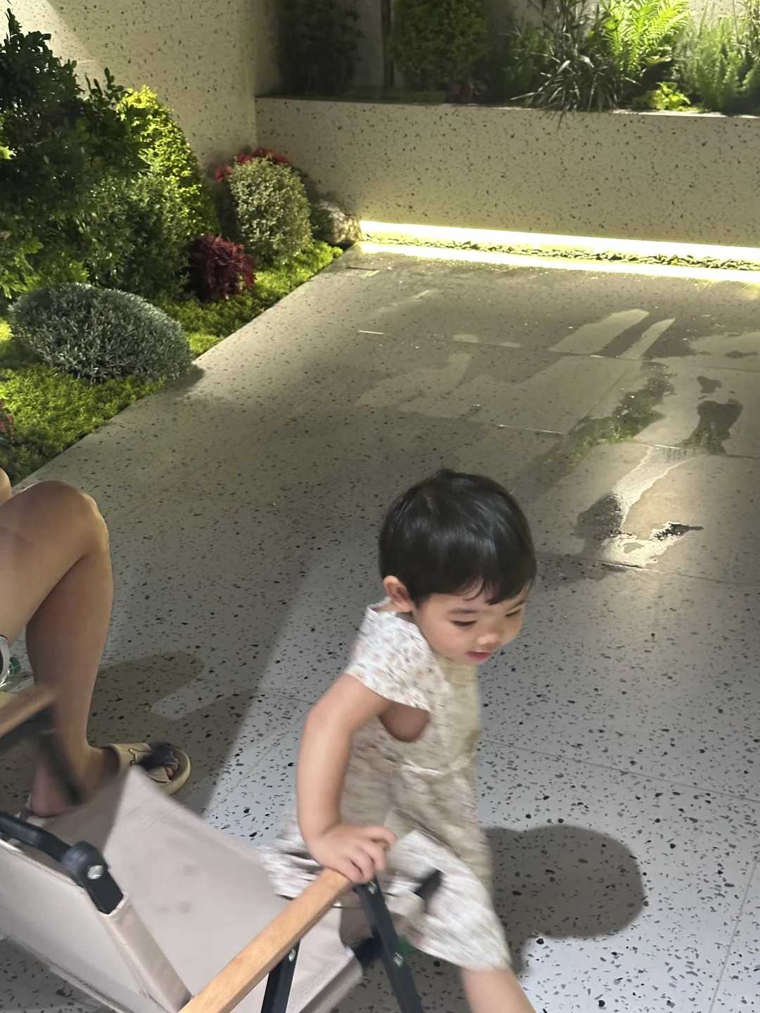 140平的花园，7000元的苗木明细来啦