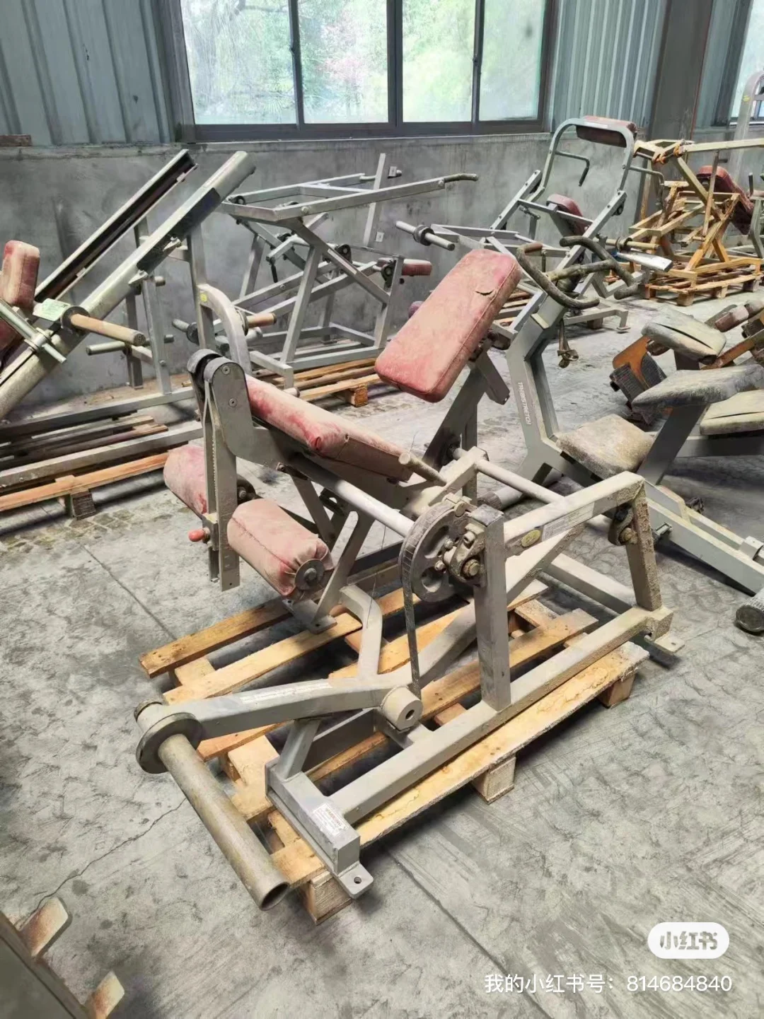 ??美国留子！传奇故事2w捡漏100w健身房？ 2