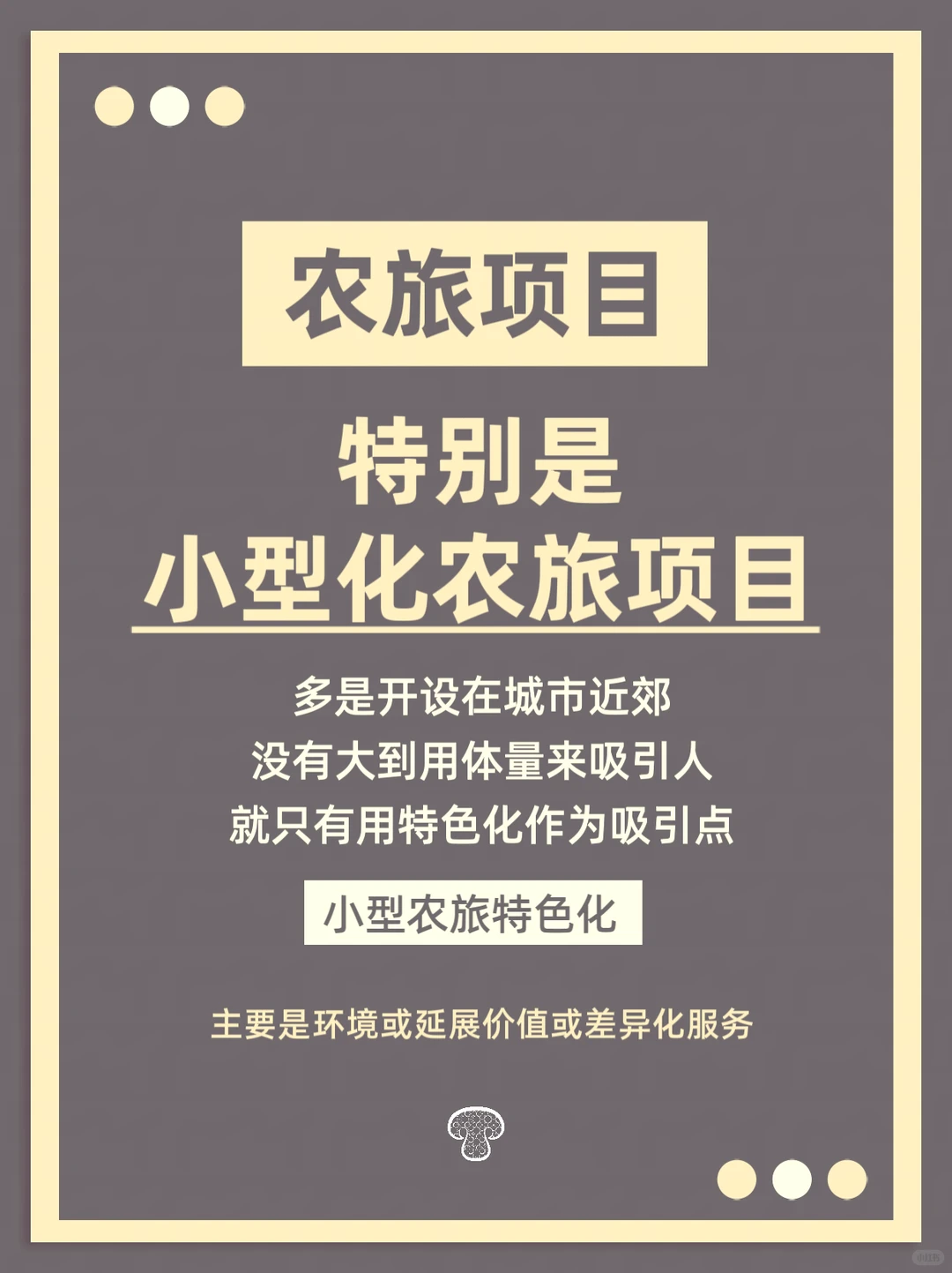 小型农旅项目运营