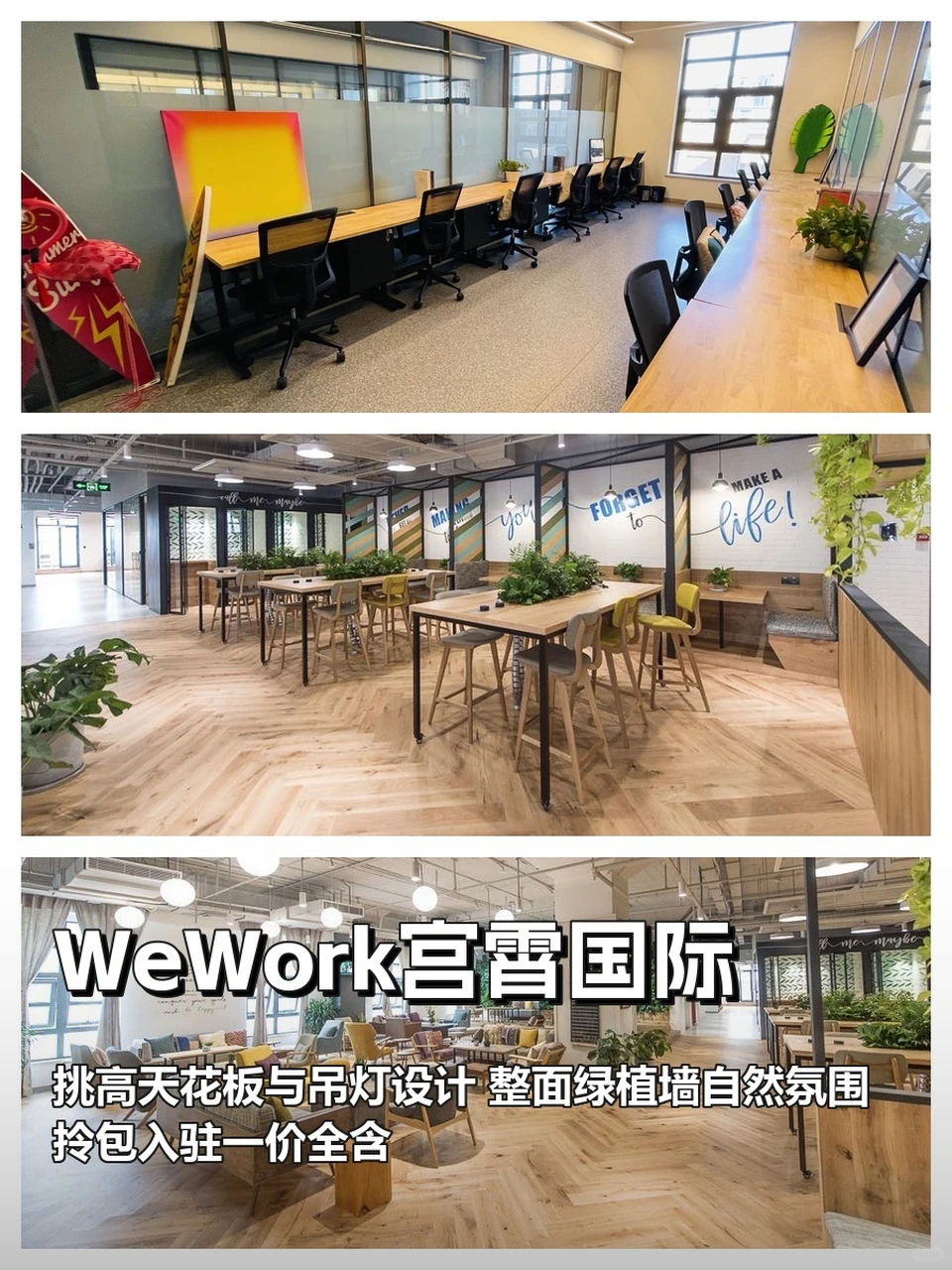 真房｜WeWork宫霄国际 |35㎡起 |便捷CBD