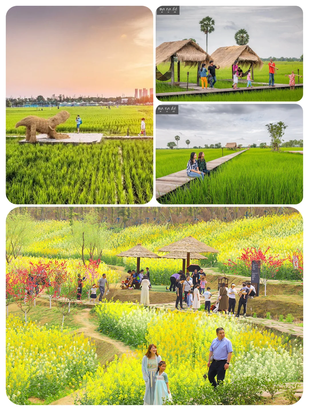 火了很多年的乡村文旅