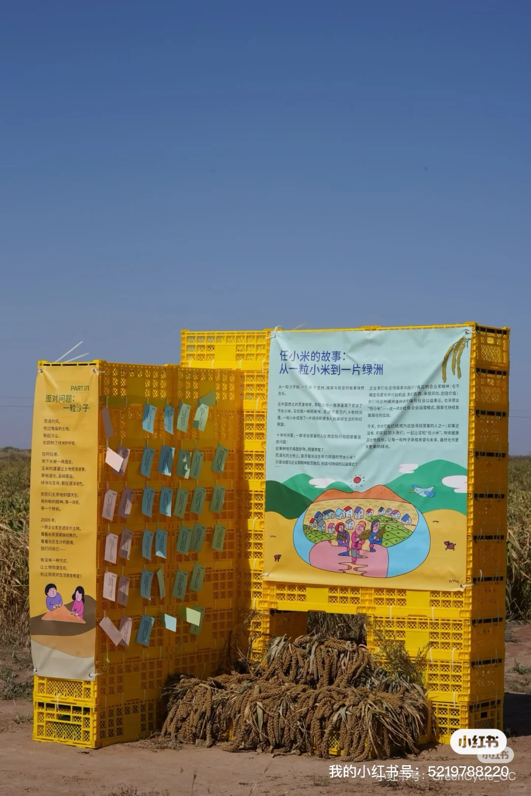 来循环市集吃来自沙漠的小米！