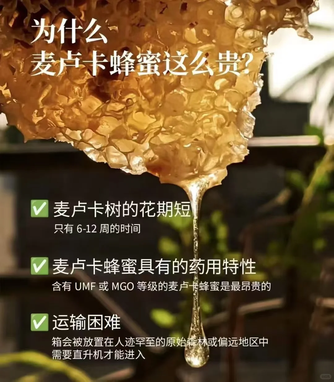澳洲麦卢卡蜂蜜?正品