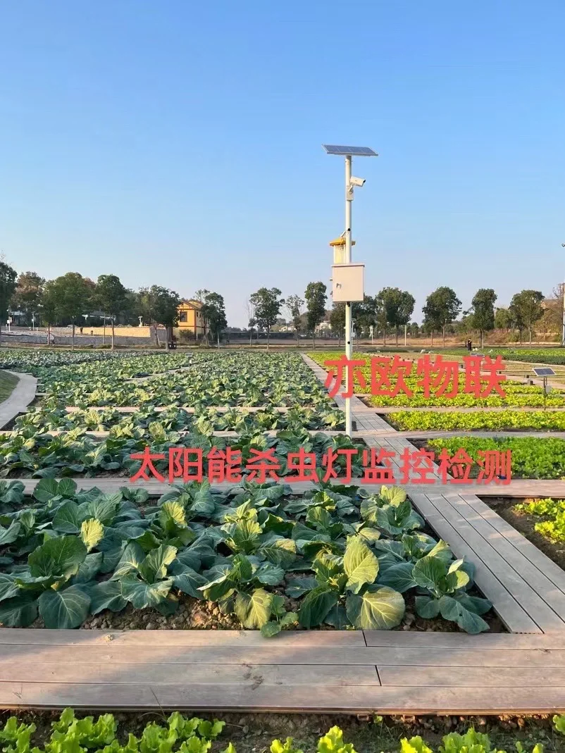 ?2023年做什么项目？新农人创业物联网