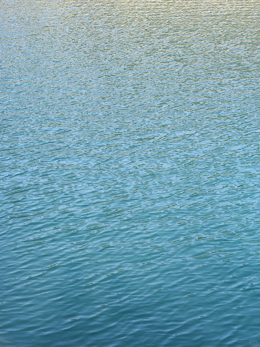 live苏州新坐标，翡翠湖超全打卡攻略?