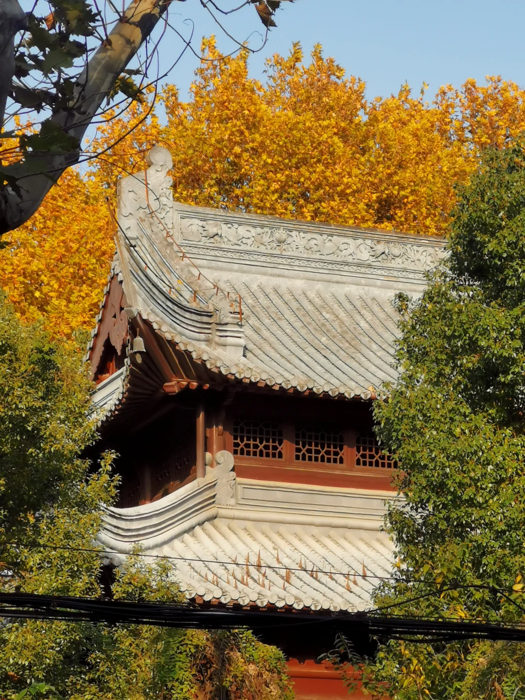 活动预告｜周六一起，看两千年的六（Lù）合